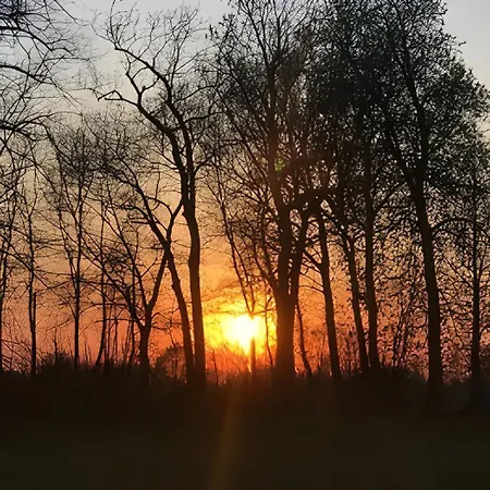 Strandvilla Leni Willa Kalkhorst